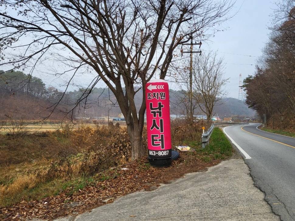 조치원낚시터 11월 15일추워도괜찮아 (유료터정보 - 유료터점주조황)