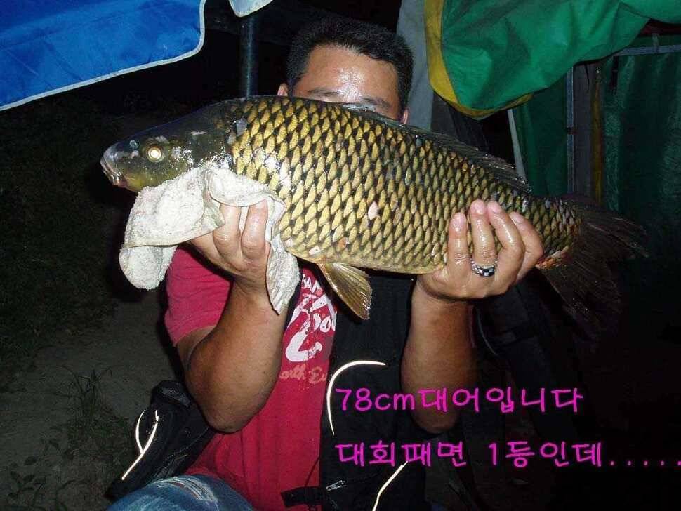 금요일 저녁 비들지에서 (유료터정보 - 유료터점주조황)