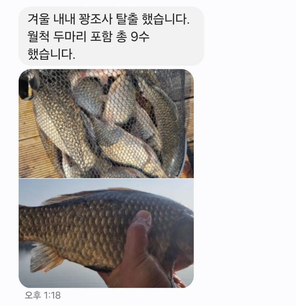 2025년 3월 첫째주 조황정보 용담낚시터사암지 (유료터정보 - 유료터점주조황)