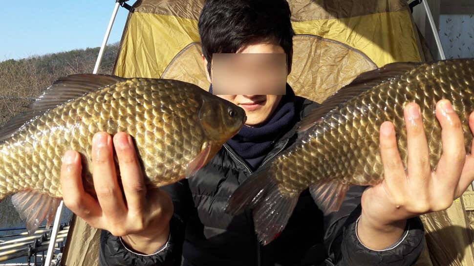 송전지 창신좌대 조황정보 (유료터정보 - 유료터점주조황)