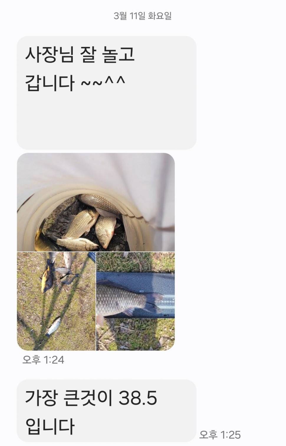 2025년 3월 셋째주 조황정보 용담낚시터사암지 (유료터정보 - 유료터점주조황)