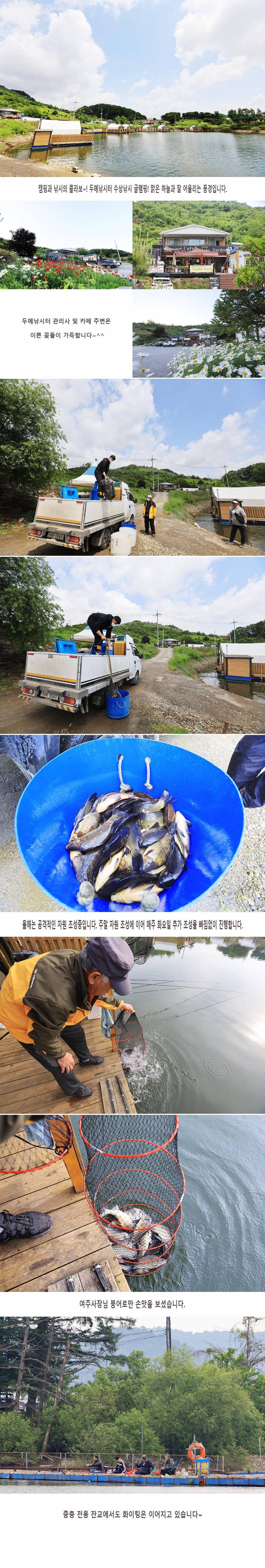 안성 두메낚시터 5월26일 조황안내 (유료터정보 - 유료터점주조황)