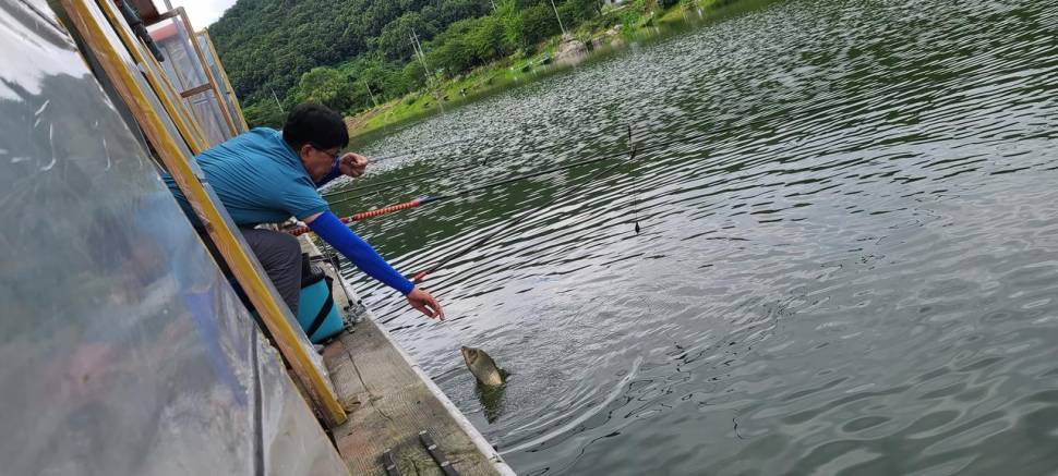 힐링 여름휴가 피서낚시 수곡낚시터 중복날 일요일 조황 (유료터정보 - 유료터점주조황)