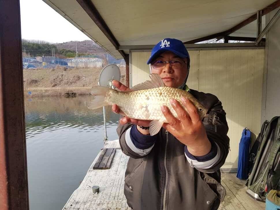 아산 안골지 조황정보 입니다 (유료터정보 - 유료터점주조황)