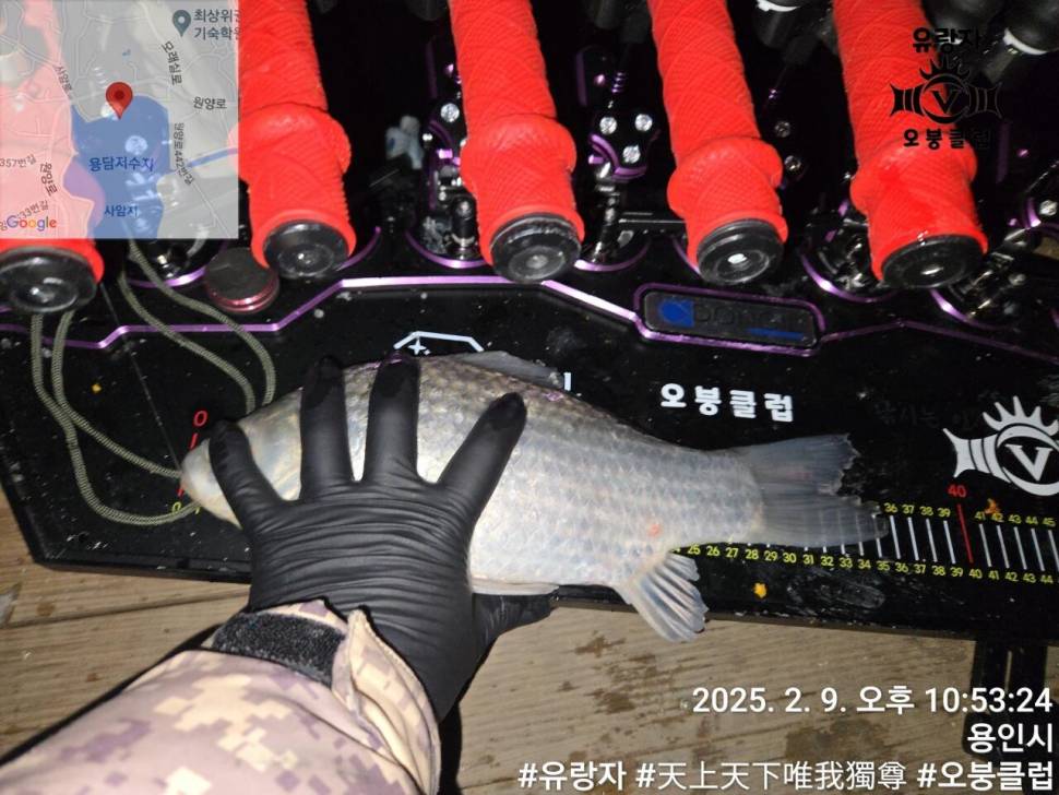 2025년 2월 셋째주 조황정보 용담낚시터사암지봄이 오는 길목에서 (유료터정보 - 유료터점주조황)