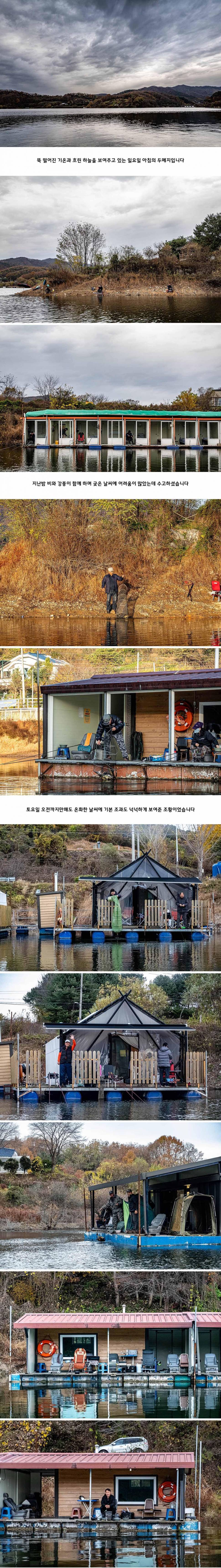 안성 두메낚시터 11월 17일 조황정보 (유료터정보 - 유료터점주조황)