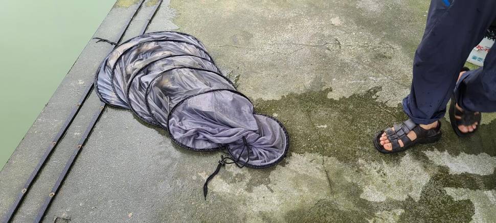 공주 고성낚시터 입니다 (유료터정보 - 유료터점주조황)