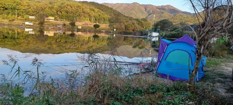 어우실지 나오면 월척에 때깔좋은어우실 입니다 오염이없는 저수지 오늘도부어방류 많은조사님이오셨네요 (유료터정보 - 유료터점주조황)
