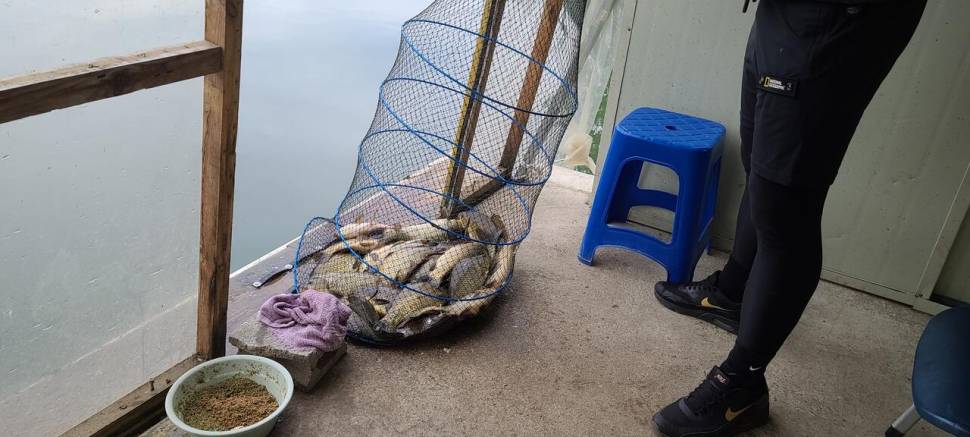 힐링 수곡낚시터 주초 일월 조황도 고른편이며 오늘 오후 붕어방류 합니다 (유료터정보 - 유료터점주조황)