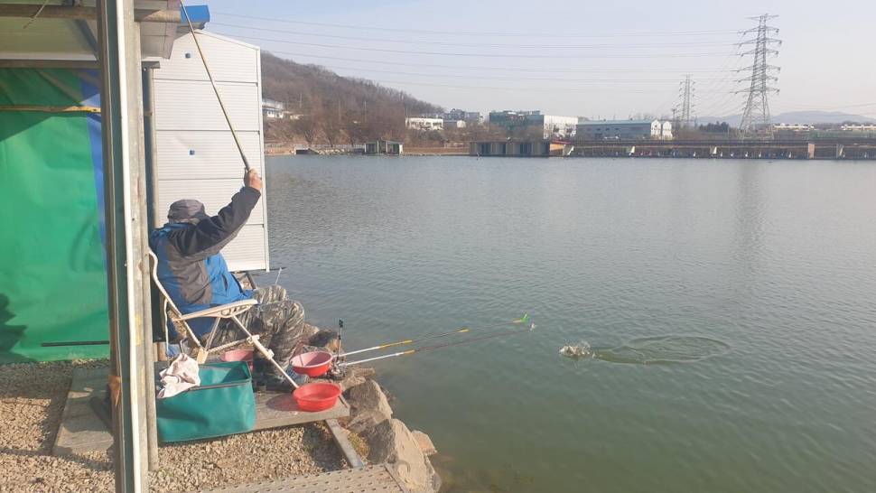 2월 24일 거청낚시터 겨울붕어 조황 (유료터정보 - 유료터점주조황)