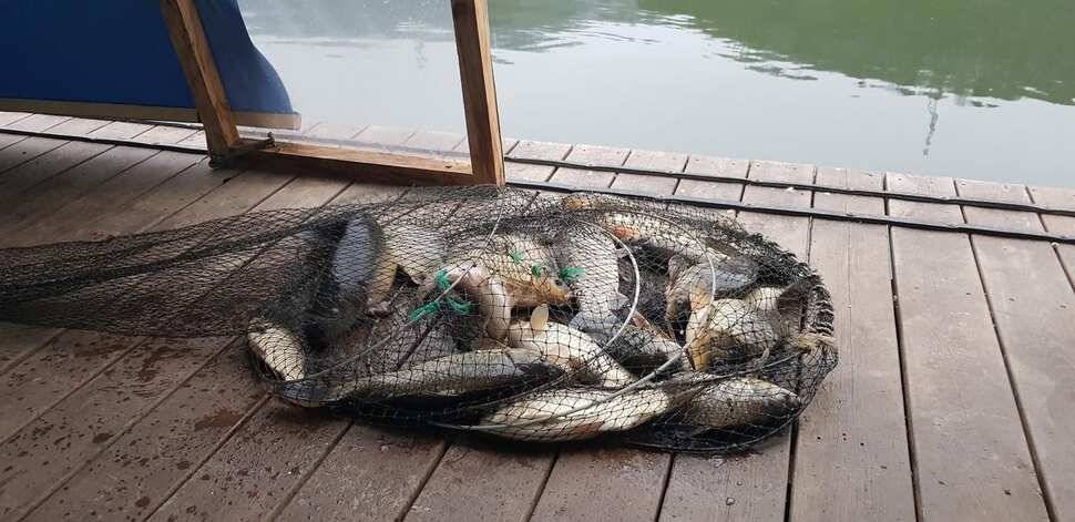 양평 수곡낚시터 320327 개장기념품 증정 및 일월요일 조황 안내 (유료터정보 - 유료터점주조황)