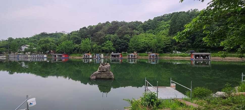 수곡지 양평 수곡낚시터 5월네째주 주말 조황 입질시간대 파악이 중요한듯합니다 (유료터정보 - 유료터점주조황)