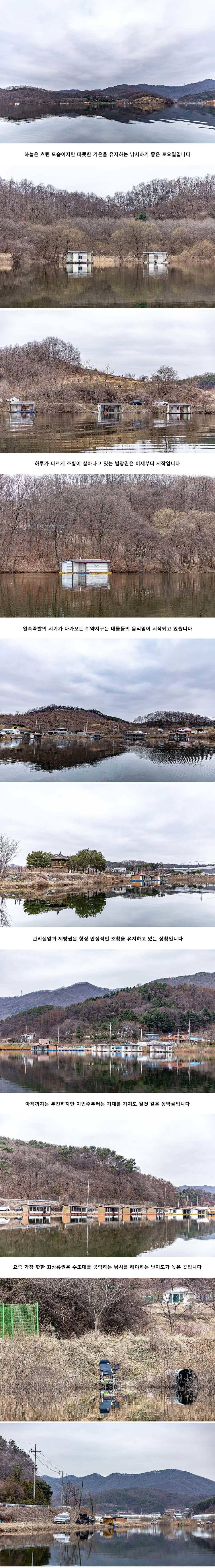 안성 두메낚시터 3월 21일 조황정보 (유료터정보 - 유료터점주조황)