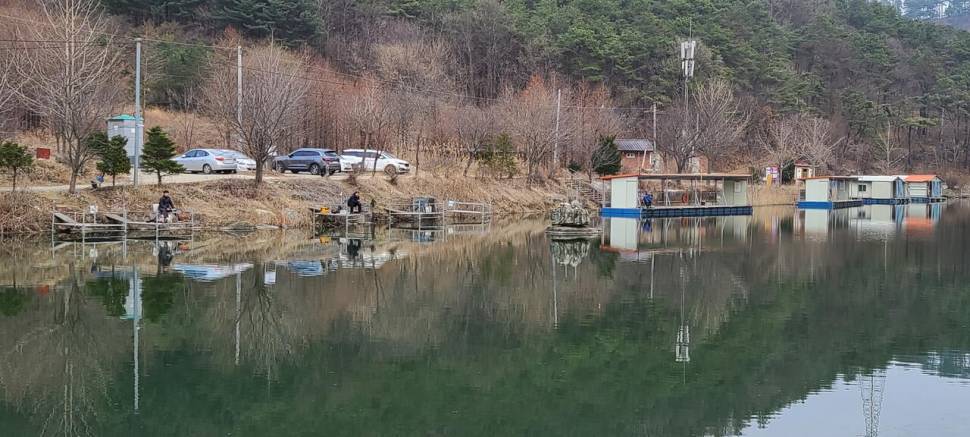 셋째주 양평 수곡낚시터 주초 조황 소식입니다 (유료터정보 - 유료터점주조황)