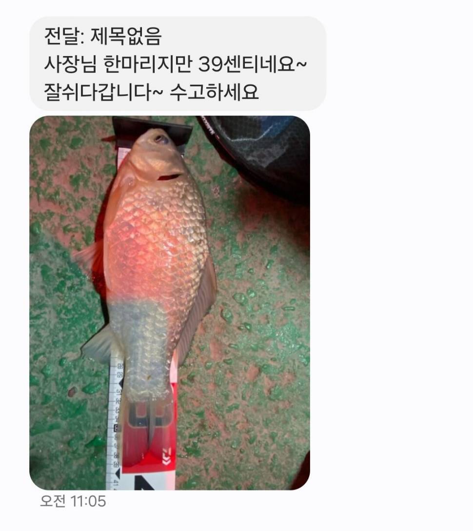 2025년 3월 첫째주 조황정보 용담낚시터사암지 (유료터정보 - 유료터점주조황)
