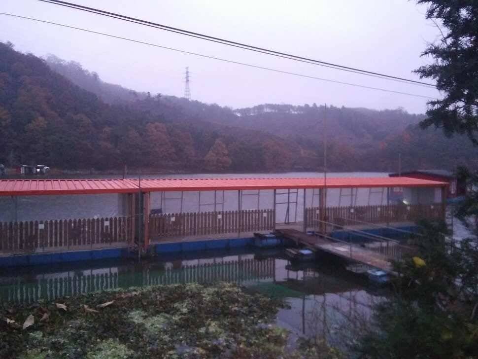 양평 수곡낚시터 자연산 4짜붕어 포함 대량 방류 및 노지 잔교 천막설치 완료하였습니다 (유료터정보 - 유료터점주조황)