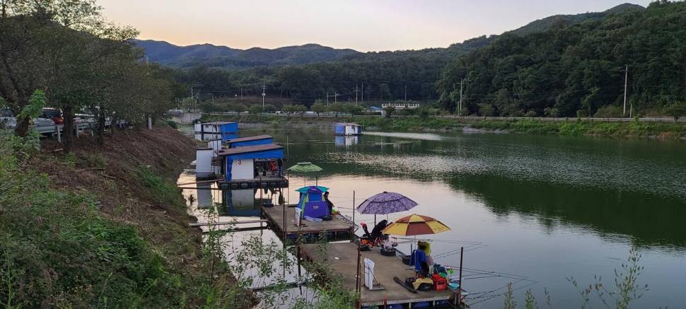 공주 고성낚시터 입니다 (유료터정보 - 유료터점주조황)