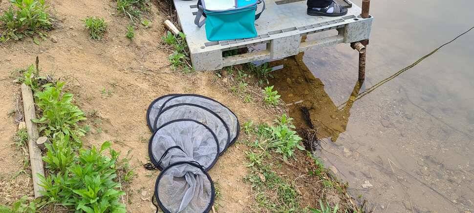 공주 고성낚시터 입니다 (유료터정보 - 유료터점주조황)