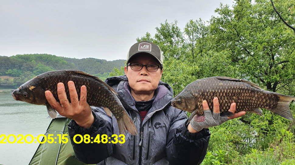 신원낚시터 5월25일 토종대물 43짜리와 덩어리 사진입니다 (유료터정보 - 유료터점주조황)
