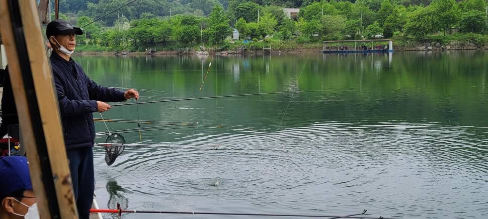양평 힐링 수곡낚시터 5월둘재주 토일요일 조황 및 붕어방류 (유료터정보 - 유료터점주조황)