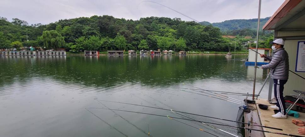5월 끝주 금토 힐링 수곡낚시터 조황 및 방류 (유료터정보 - 유료터점주조황)