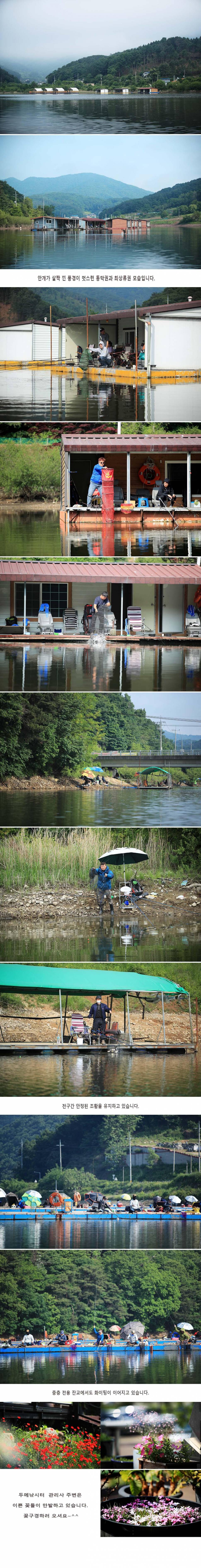 안성 두메낚시터 5월30일 조황안내 (유료터정보 - 유료터점주조황)