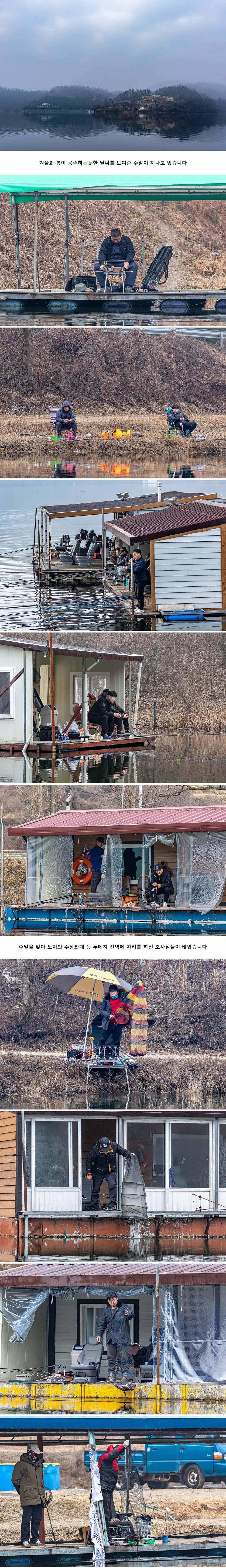 안성 두메낚시터 3월 1일 조황정보 (유료터정보 - 유료터점주조황)