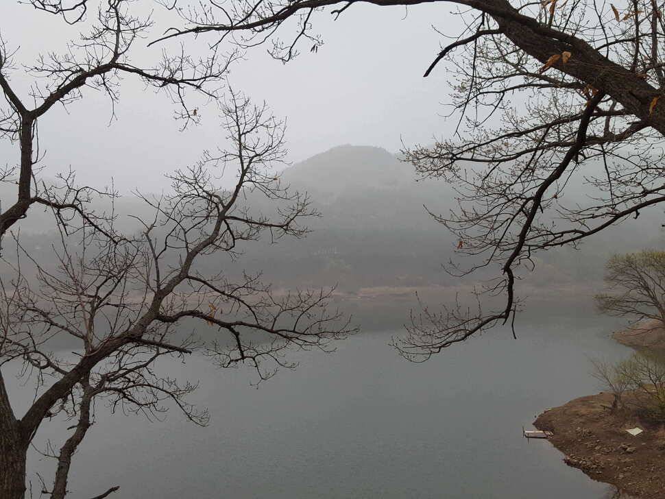안성장계지 (유료터정보 - 유료터점주조황)