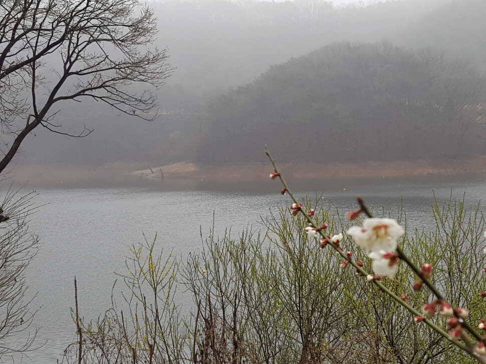안성장계지 (유료터정보 - 유료터점주조황)