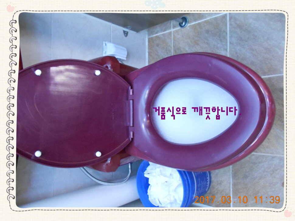 도심속의 작은 쉼터 화성 관리 낚시터입니다밤이 좋아 (유료터정보 - 유료터점주조황)