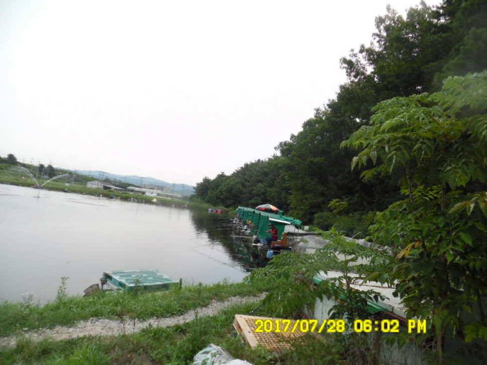 경주동산낚시터 지난주 조황 (유료터정보 - 유료터점주조황)