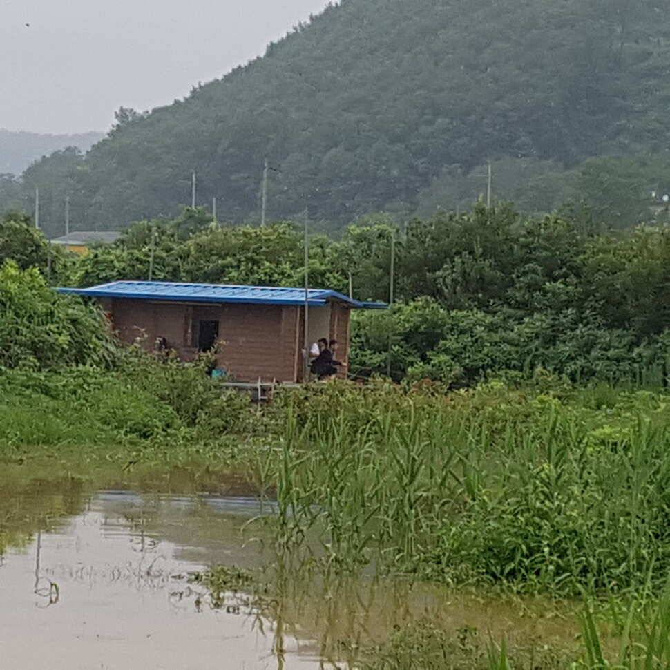 사짜와 마리수 대박 이어지고 있음 (유료터정보 - 유료터점주조황)
