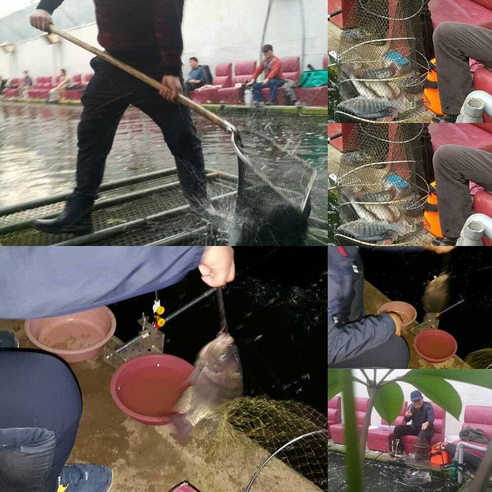 순수한 열정 (유료터정보 - 유료터점주조황)