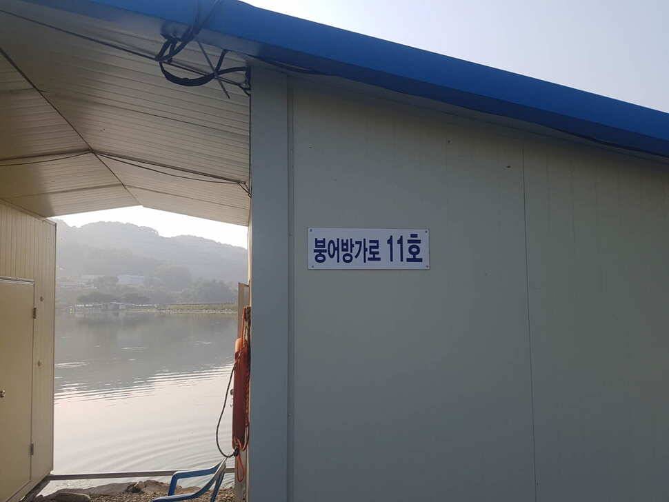 만수위의 거청낚시터 붕어조황 6월 15 (유료터정보 - 유료터점주조황)