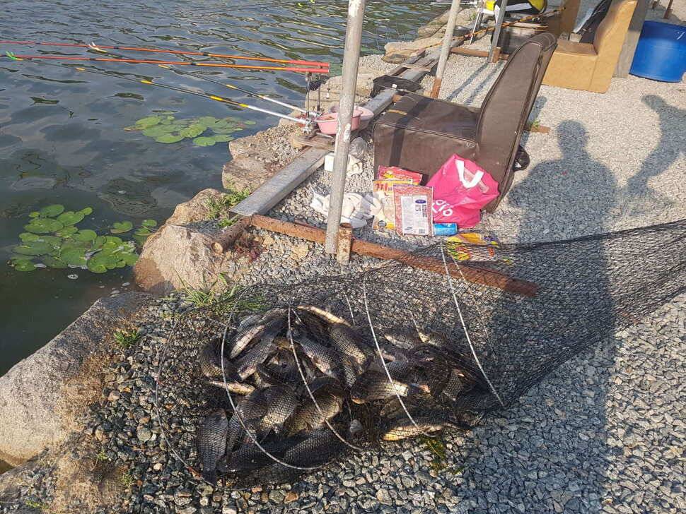 만수위의 거청낚시터 가족낚시터 붕어조황 6월 14 (유료터정보 - 유료터점주조황)