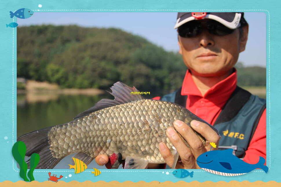 5월 셋쨋주 대형 민물장어와 조황소식 (유료터정보 - 유료터점주조황)