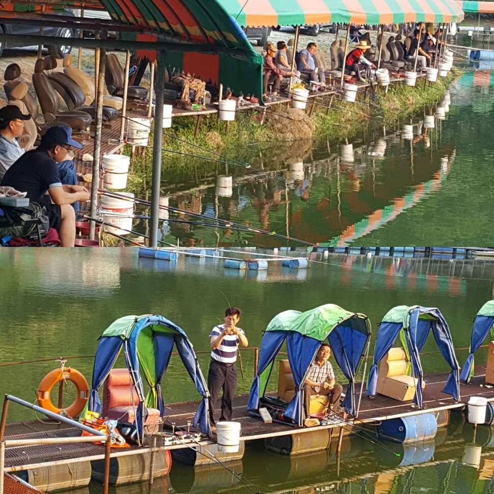 노파심 (유료터정보 - 유료터점주조황)