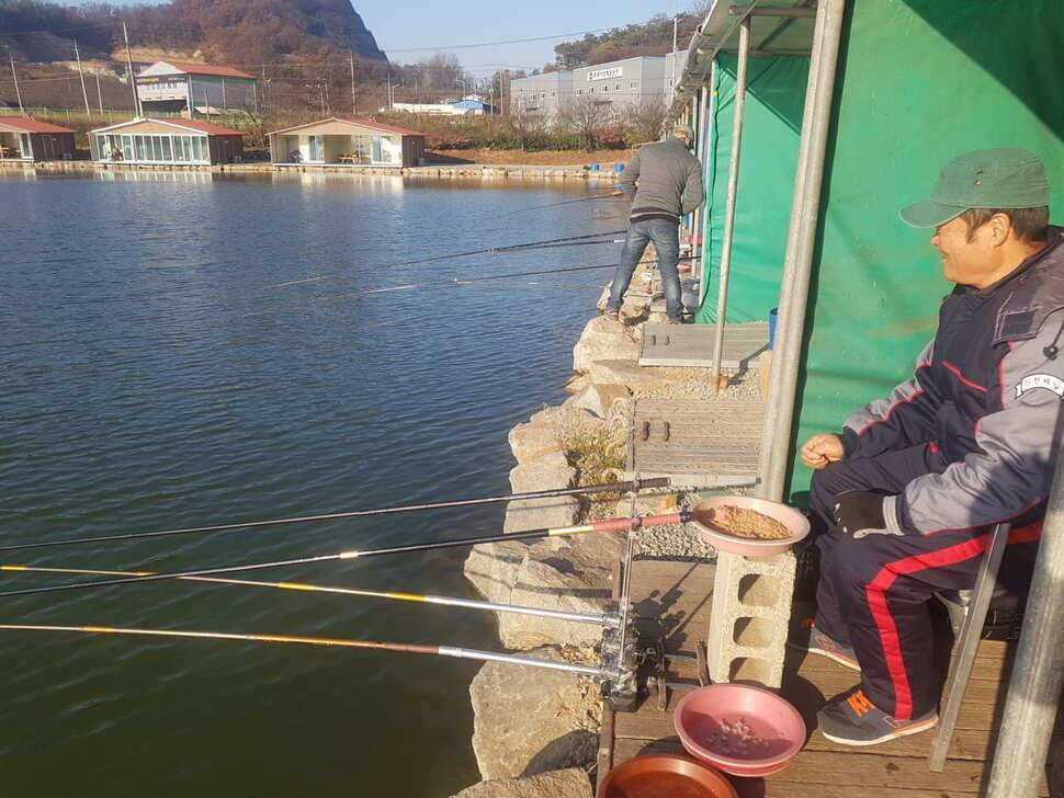 11 월 18 일 경기도 안성 거청낚시터 붕어조황 (유료터정보 - 유료터점주조황)