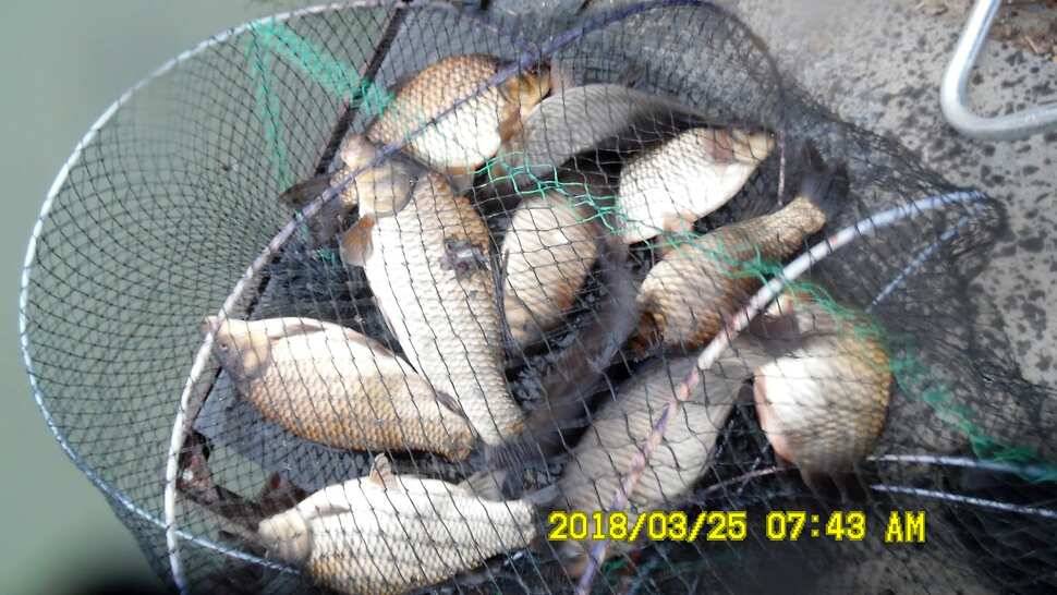 반제지 약오르는주말 조황정보입니다 (유료터정보 - 유료터점주조황)