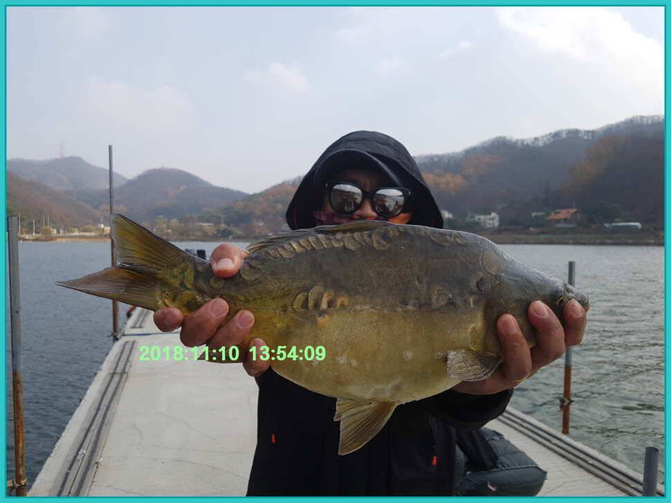 신원낚시터 11월 14일 조황 소식입니다 (유료터정보 - 유료터점주조황)