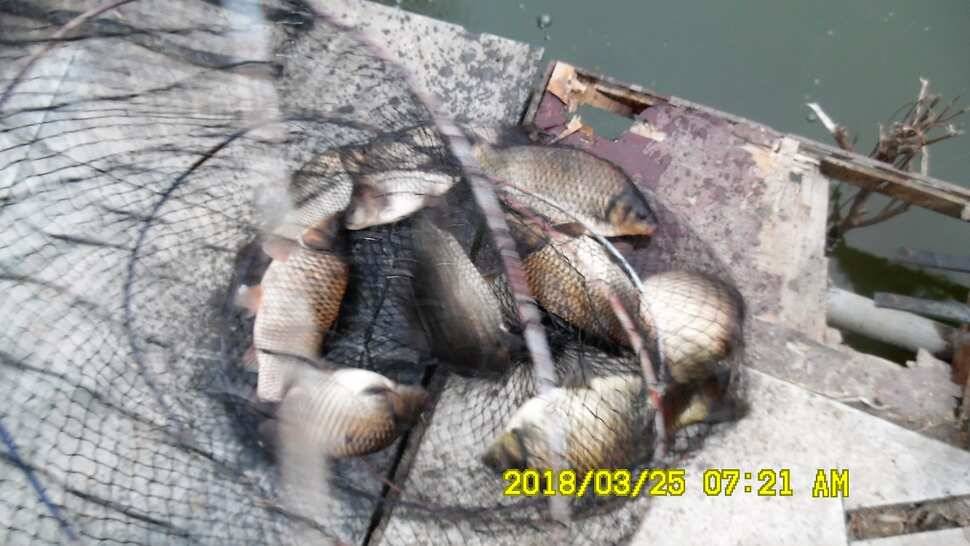 반제지 약오르는주말 조황정보입니다 (유료터정보 - 유료터점주조황)