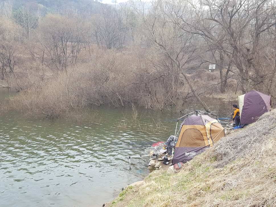 안성죽산장계지조항전경입니다 (유료터정보 - 유료터점주조황)