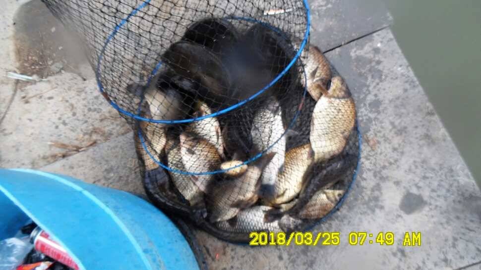 반제지 약오르는주말 조황정보입니다 (유료터정보 - 유료터점주조황)