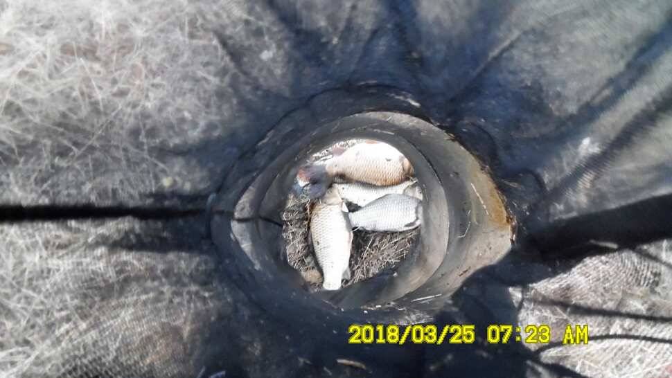 반제지 약오르는주말 조황정보입니다 (유료터정보 - 유료터점주조황)