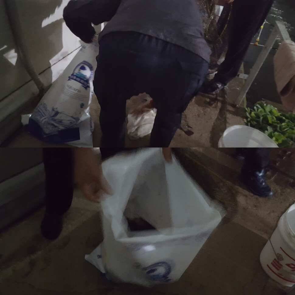 무아지경 (유료터정보 - 유료터점주조황)