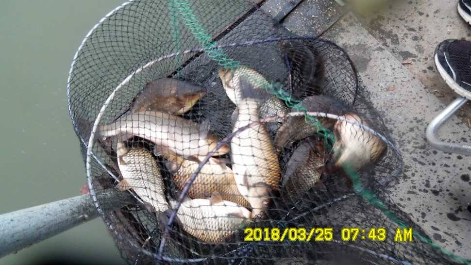 반제지 약오르는주말 조황정보입니다 (유료터정보 - 유료터점주조황)