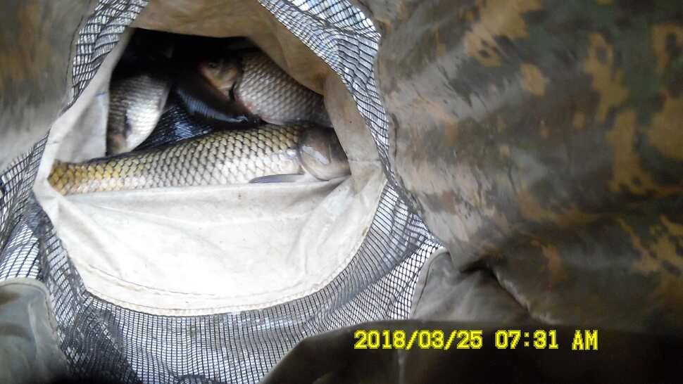 반제지 약오르는주말 조황정보입니다 (유료터정보 - 유료터점주조황)