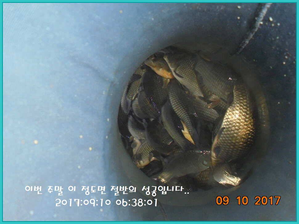 도심속의 작은 쉼터 화성 관리 낚시터입니다관리의 밤은 열정입니다 (유료터정보 - 유료터점주조황)
