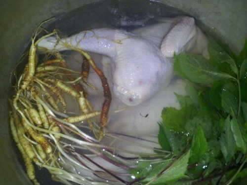 초복에 염장글입니다ㅋㅋ (커뮤니티 - 자유게시판)