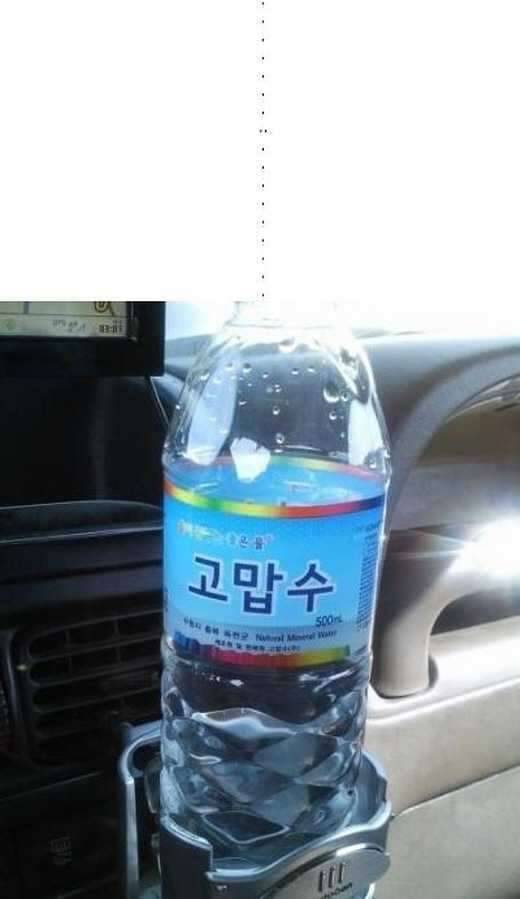 누군가 어종을 묻는다 (커뮤니티 - 자유게시판)